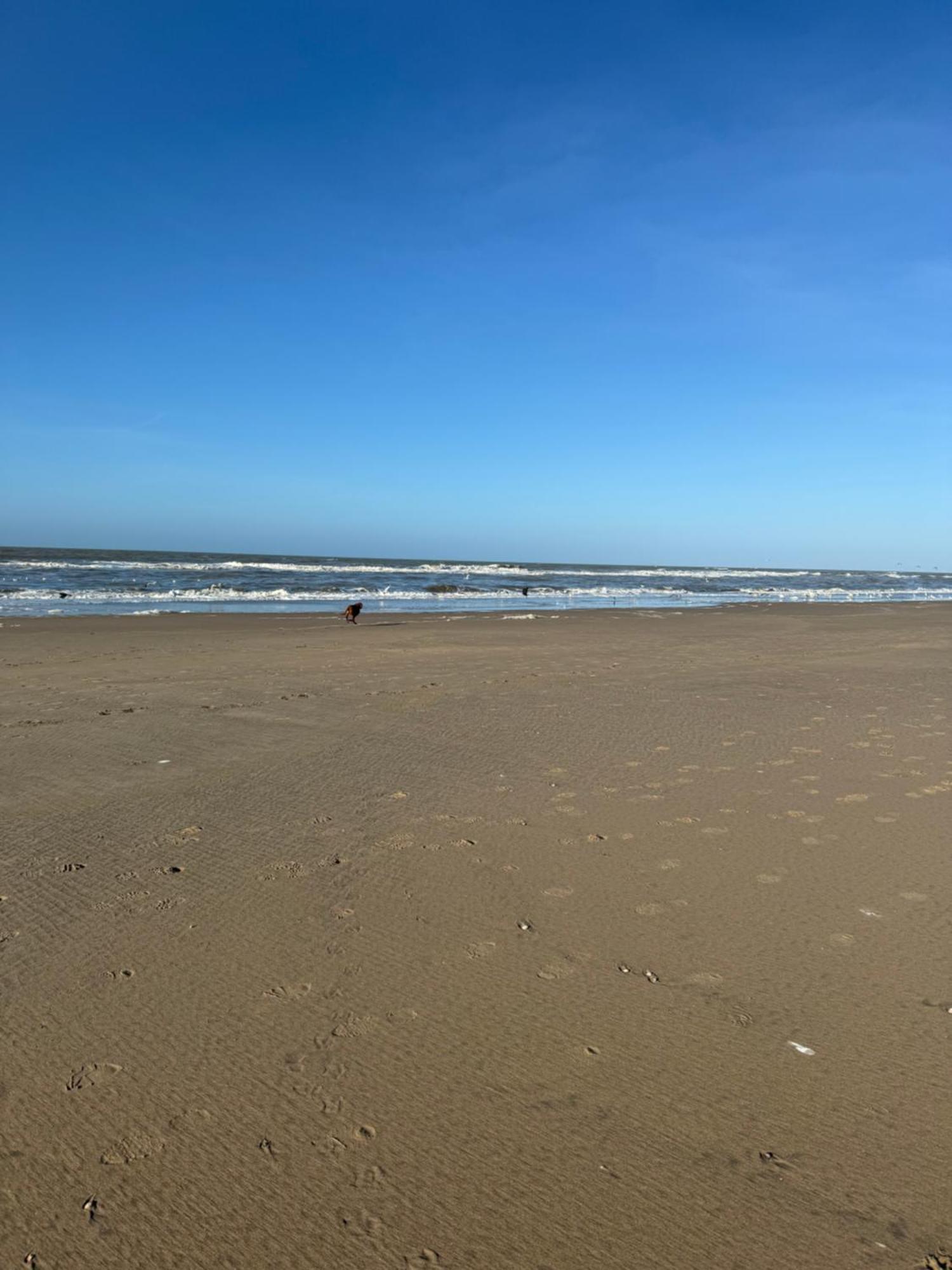 Guesthouse West Noordwijk Eksteriør bilde