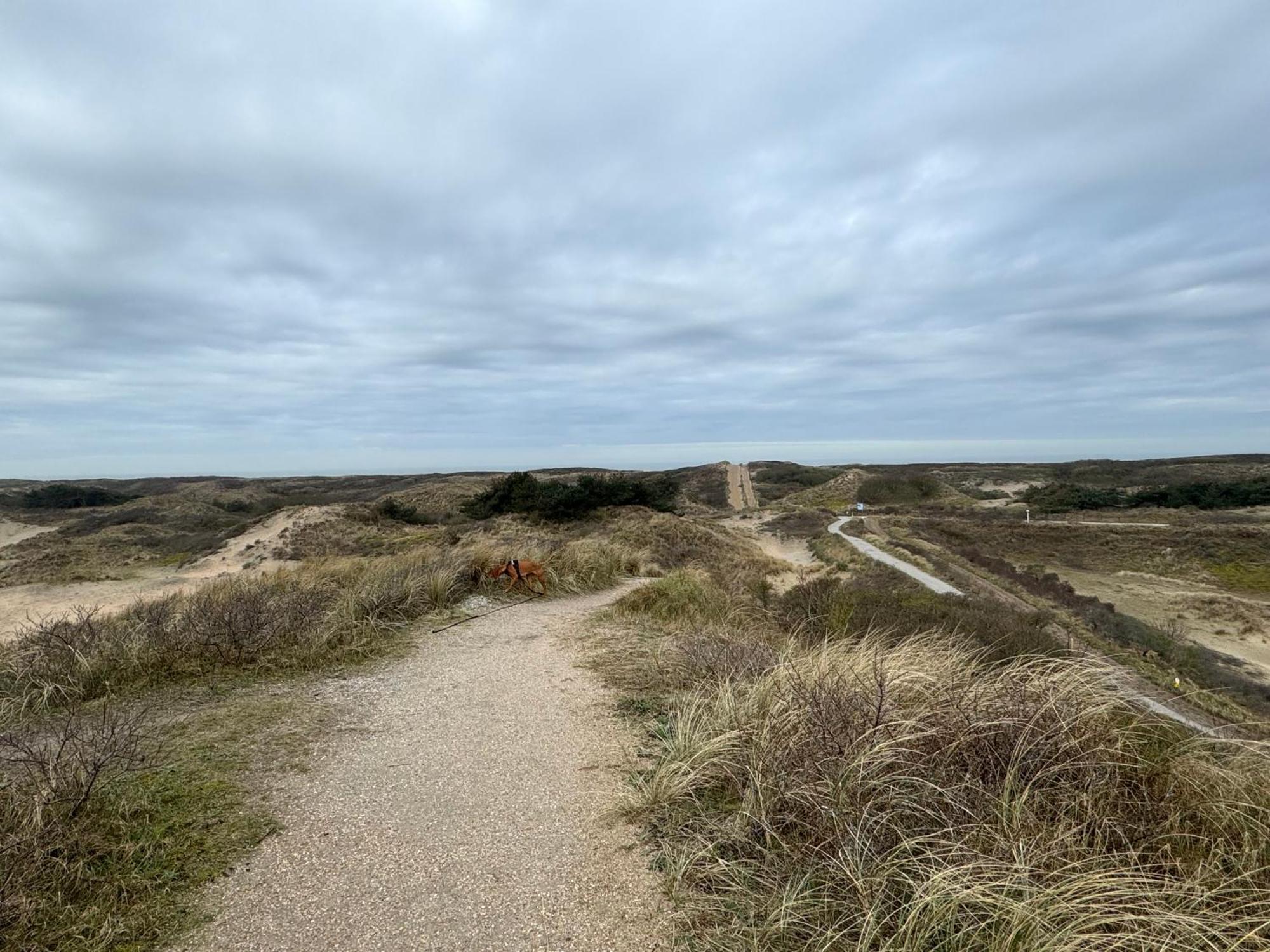 Guesthouse West Noordwijk Eksteriør bilde