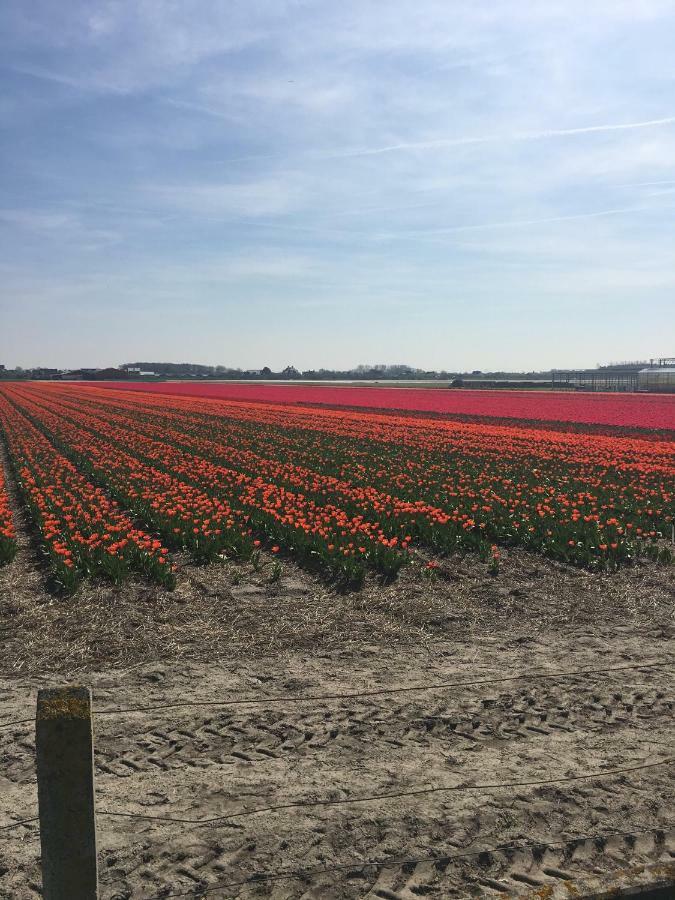 Guesthouse West Noordwijk Eksteriør bilde